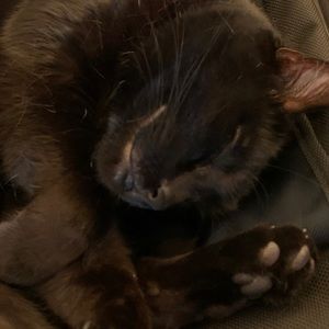 Meet your Posher, Adam